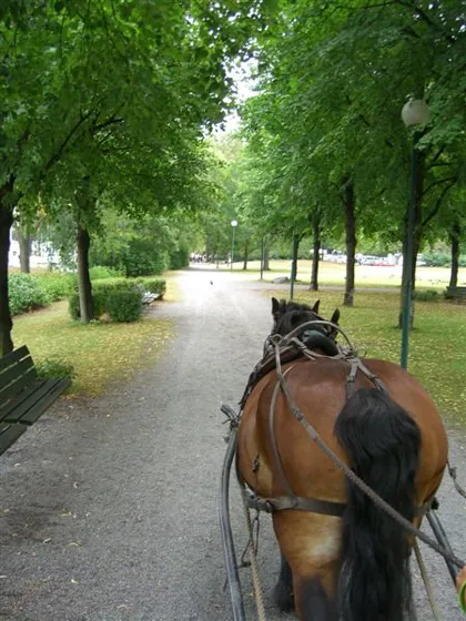 Djurgården