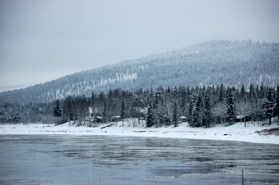 Winter