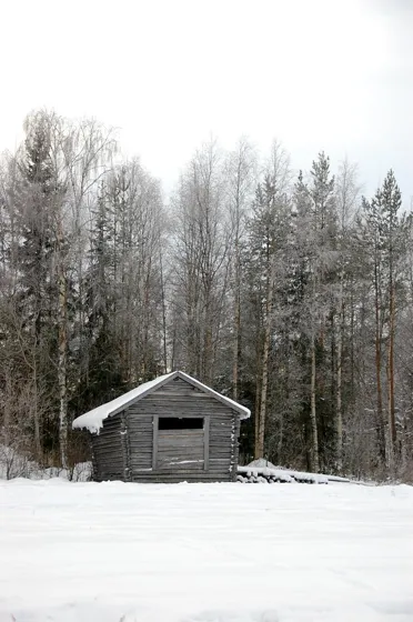 Shelter