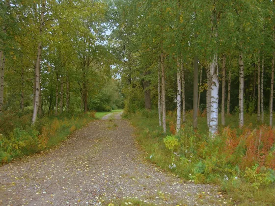 Road