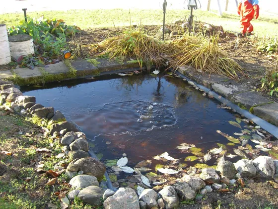 Frozen Pond