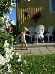 Zoe trip 5