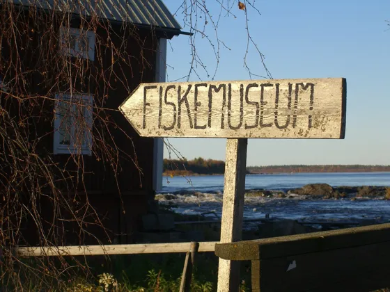 This way to the Fish Museum