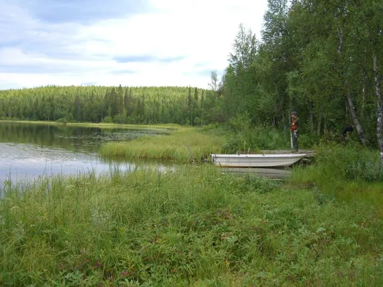 The Boat