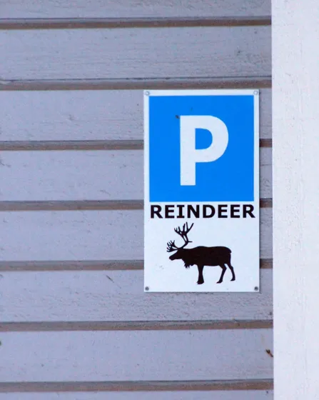 Reindeer Parking