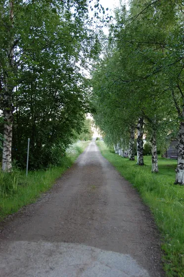 The Way