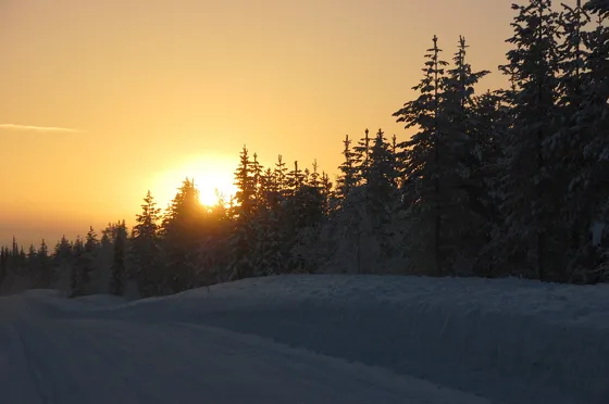 Morning Sun