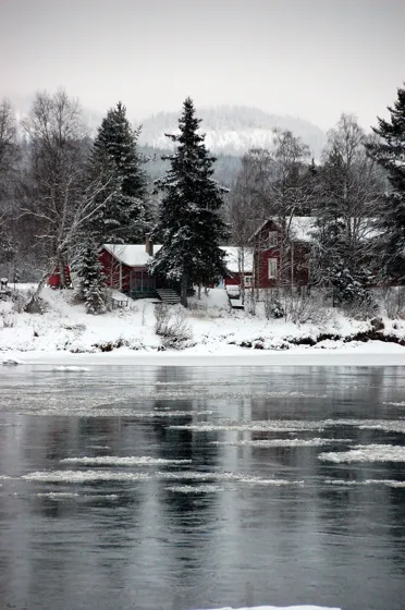 Winter Scene