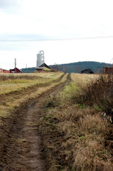The Road Home