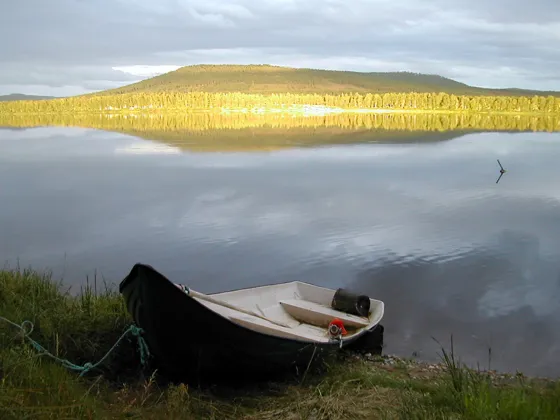 The Midnight Sun