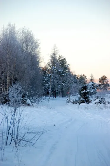 A photograph from our family diary