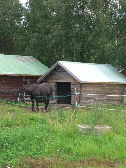 A photograph from our family diary