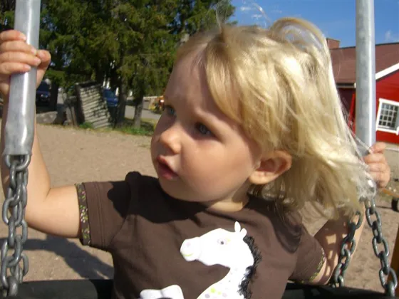 2006 873