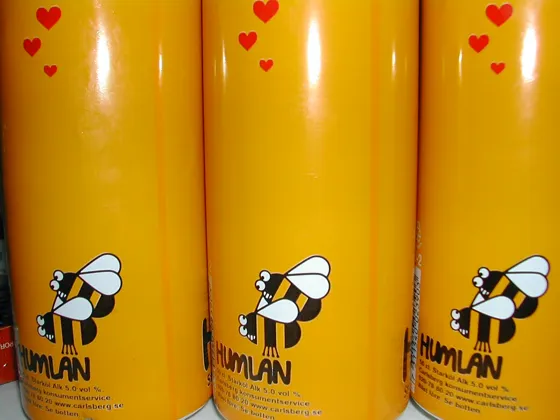 Horny Bee Beer?