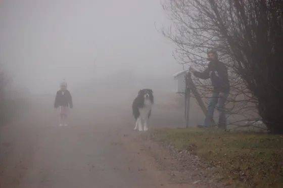 Fog People