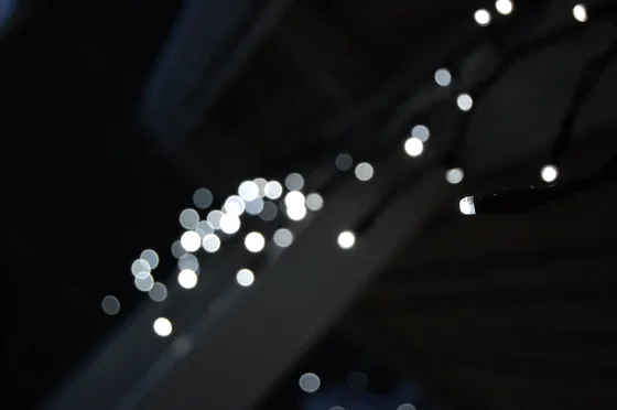 dots