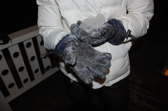 Frozen Gloves