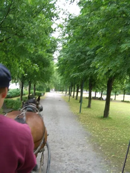 Djurgården