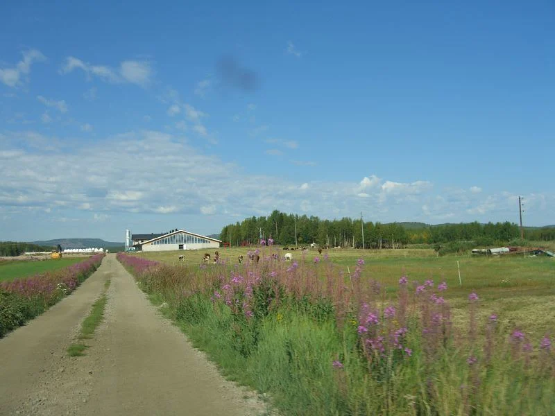 2006 379