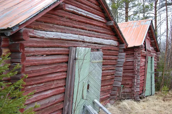A photograph from our family diary