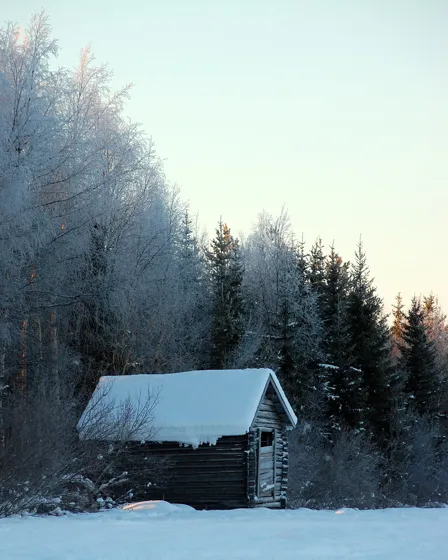A photograph from our family diary