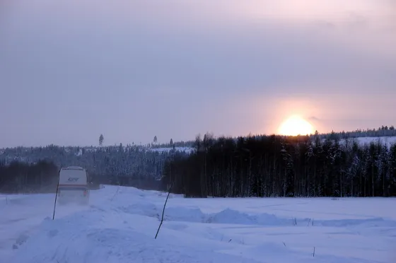 Driving Toward the Light