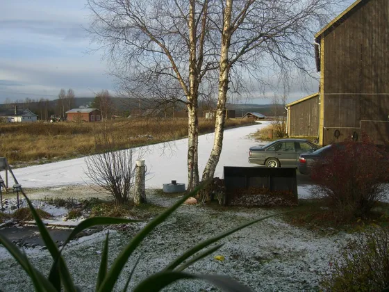 Snow... Finally