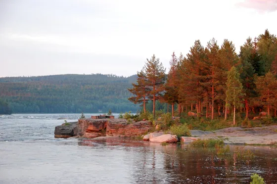 Midnight Sun