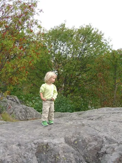 Fjäderholmarna