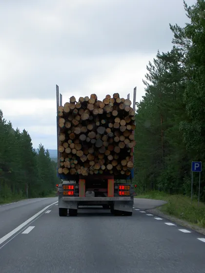 Logs