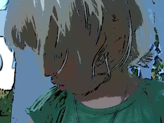 2006 611