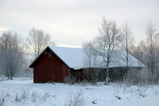 Barn