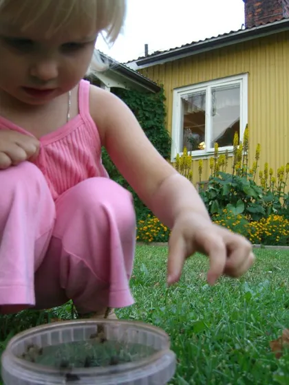 Playing with frogs