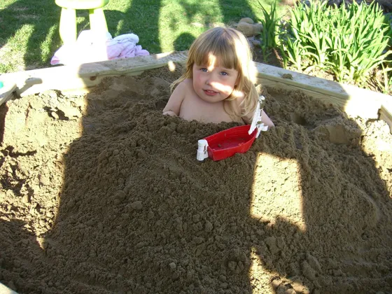 Sand Crab