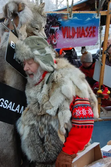 Wild Hasse