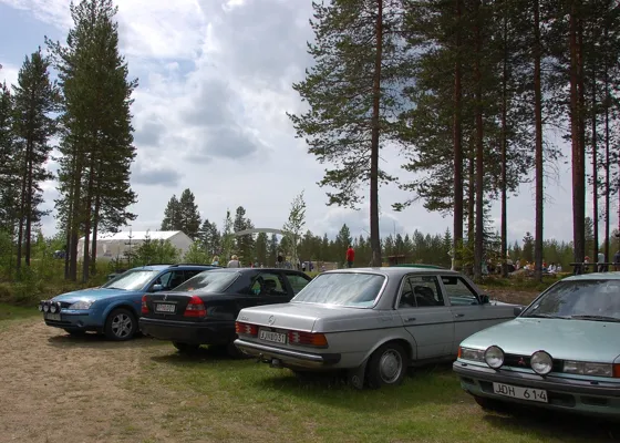 Swedish midsummer party